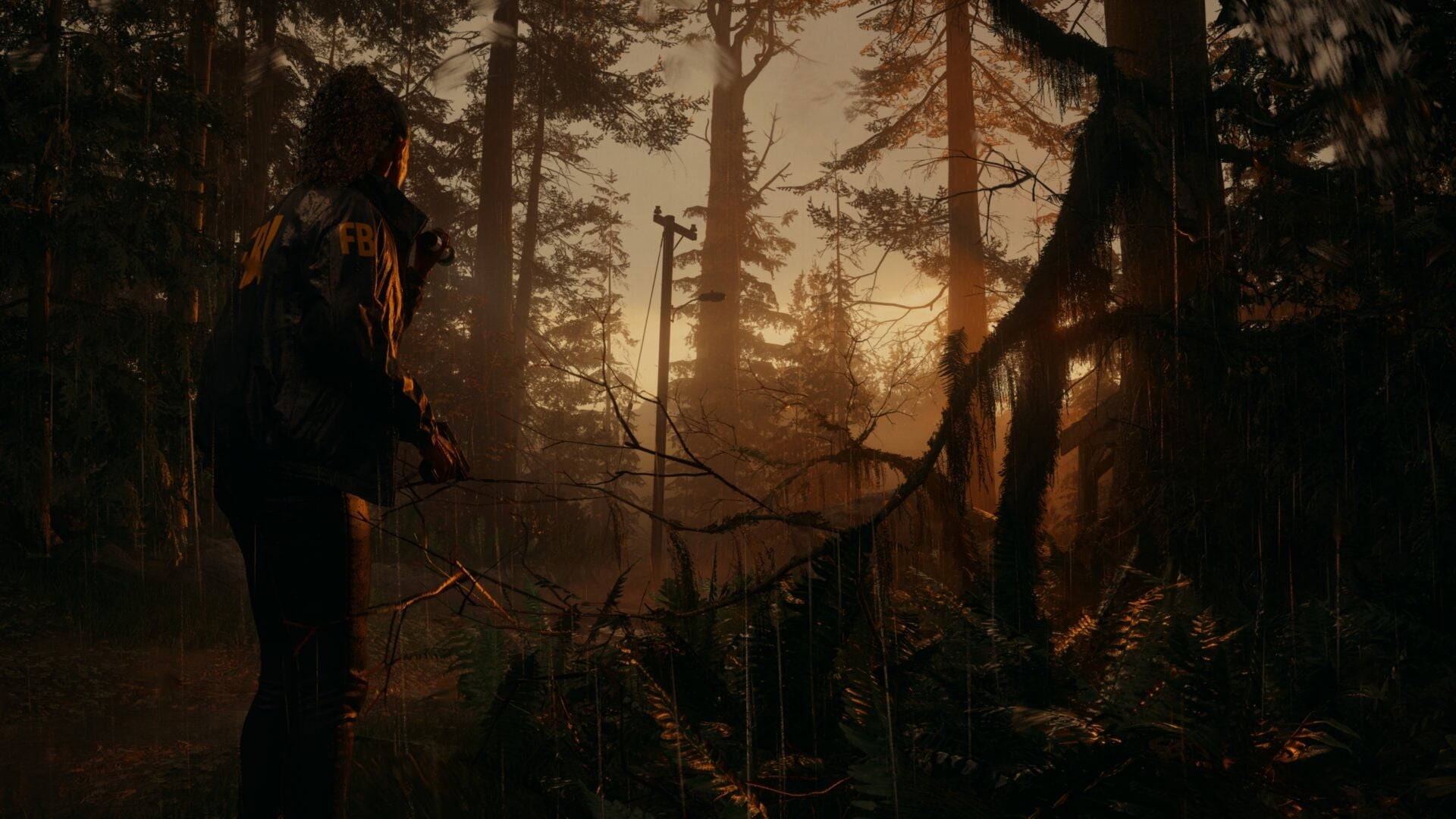 Alan Wake 2: Deluxe Edition PS5