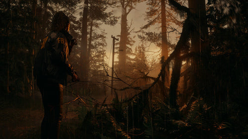 Alan Wake 2: Deluxe Edition PS5
